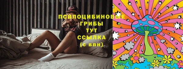 ECSTASY Алзамай