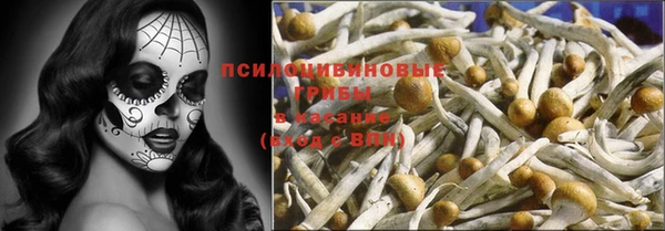 ECSTASY Алзамай