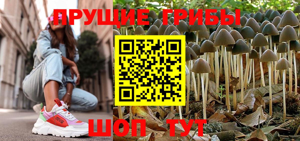 Псилоцибиновые грибы Magic Shrooms  Вход с VPN  купить закладку  Тулун 