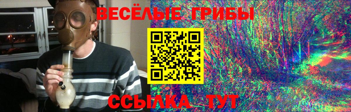 Псилоцибиновые грибы прущие грибы Тулун